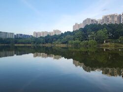 The Rivervale (D19), Condominium #495960401